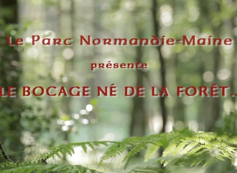 Le Parc Normandie Maine présente :  » le bocage né de la forêt « 