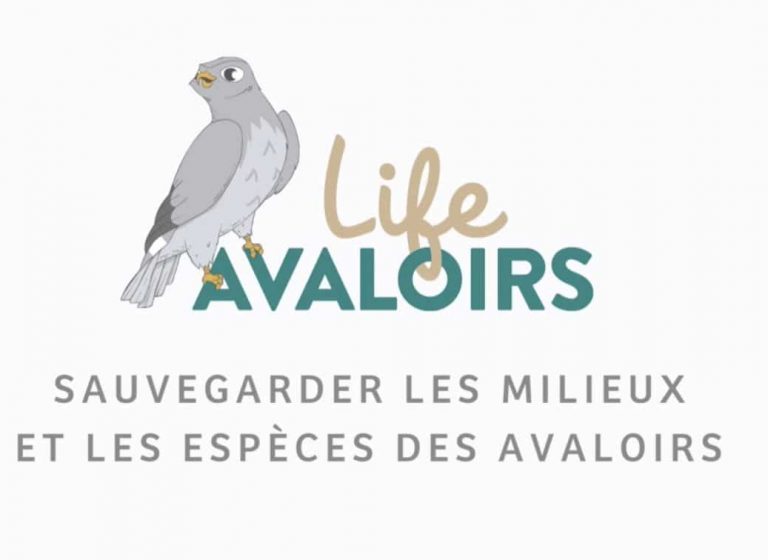 Parc Normandie Maine : Life Avaloirs
